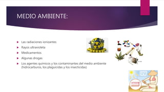 MEDIO AMBIENTE:
 Las radiaciones ionizantes
 Rayos ultravioleta
 Medicamentos
 Algunas drogas
 Los agentes químicos y los contaminantes del medio ambiente
(hidrocarburos, los plaguicidas y los insecticidas)
 