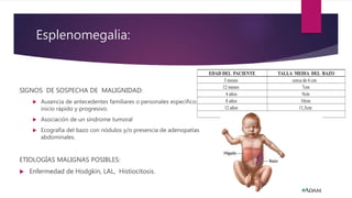 Esplenomegalia:
SIGNOS DE SOSPECHA DE MALIGNIDAD:
 Ausencia de antecedentes familiares o personales específicos,
inicio rápido y progresivo.
 Asociación de un síndrome tumoral
 Ecografía del bazo con nódulos y/o presencia de adenopatías
abdominales.
ETIOLOGÍAS MALIGNAS POSIBLES:
 Enfermedad de Hodgkin, LAL, Histiocitosis.
 
