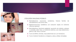 ETIOLOGÍAS MALIGNAS POSIBLES:
 Retinoblastoma: Leucocoria, estrabismo, historia familiar de
retinoblastoma o de tumor óseo.
 Rabdomiosarcoma; Exoftalmos con evolución rápida sin síndrome
infeccioso general.
 Neuroblastoma: Equimosis palpebral, asociación de nódulos cutáneos
o craneales, dolor óseo, un síndrome anémico, una masa abdominal y
pélvica o del tórax o cervical.
 Tumor de Wilms: Aniridia, masa abdominal con o sin hematuria.
 Tumor Cerebral: Estrabismo o nistagmus, ataxia, cefalea, hemiplejia.
 