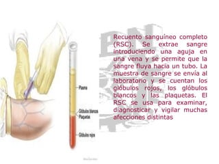 Recuento sanguíneo completo
(RSC). Se extrae sangre
introduciendo una aguja en
una vena y se permite que la
sangre fluya hacia un tubo. La
muestra de sangre se envía al
laboratorio y se cuentan los
glóbulos rojos, los glóbulos
blancos y las plaquetas. El
RSC se usa para examinar,
diagnosticar y vigilar muchas
afecciones distintas

 