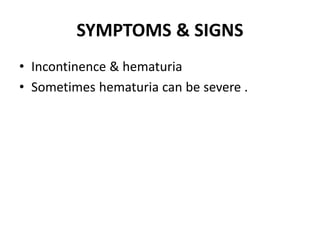 SYMPTOMS & SIGNS
• Incontinence & hematuria
• Sometimes hematuria can be severe .
 