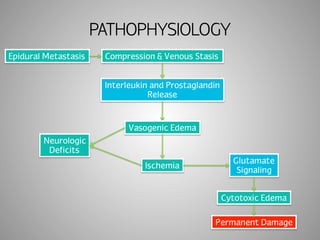 PATHOPHYSIOLOGY 
Epidural Metastasis Compression & Venous Stasis 
Interleukin and Prostaglandin 
Release 
Vasogenic Edema 
Ischemia 
Neurologic 
Deficits 
Glutamate 
Signaling 
Cytotoxic Edema 
Permanent Damage 
 