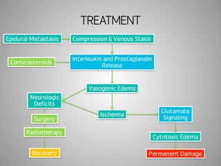 TREATMENT 
Epidural Metastasis Compression & Venous Stasis 
Interleukin and Prostaglandin 
Release 
Vasogenic Edema 
Ischemia 
Corticosteroids 
Neurologic 
Deficits 
Glutamate 
Signaling 
Cytotoxic Edema 
Surgery 
Radiotherapy 
Recovery Permanent Damage 
 