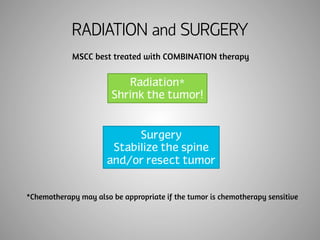 RADIATION and SURGERY 
MSCC best treated with COMBINATION therapy 
Radiation* 
Shrink the tumor! 
Surgery 
Stabilize the spine 
and/or resect tumor 
*Chemotherapy may also be appropriate if the tumor is chemotherapy sensitive 
 