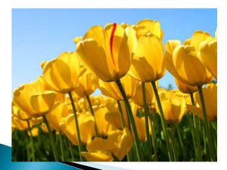 Oncologic emergencies