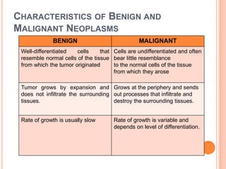 CHARACTERISTICS OF BENIGN AND
MALIGNANT NEOPLASMS
BENIGN MALIGNANT
Well-differentiated cells that
resemble normal cells of the tissue
from which the tumor originated
Cells are undifferentiated and often
bear little resemblance
to the normal cells of the tissue
from which they arose
Tumor grows by expansion and
does not infiltrate the surrounding
tissues.
Grows at the periphery and sends
out processes that infiltrate and
destroy the surrounding tissues.
Rate of growth is usually slow Rate of growth is variable and
depends on level of differentiation.
 