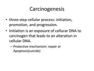 Carcinogenesis
• three-step cellular process: initiation,
promotion, and progression.
• Initiation is an exposure of cellurar DNA to
carcinogen that leads to an alteration in
cellular DNA.
– Protective mechanism: repair or
Apoptosis(suicide)
 