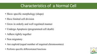 Characteristics of a Normal Cell
• Show specific morphology (shape)
• Have limited cell division
• Grow in orderly and well regulated manner
• Undergo Apoptosis (programmed cell death)
• Adhere tightly together
• Non migratory
• Are euploid (equal number of required chromosomes)
• Perform specific differentiated functions
 