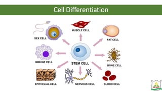 Cell Differentiation
 