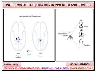 Oncology cartoons 65th volume