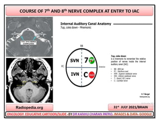 Oncology cartoons 65th volume