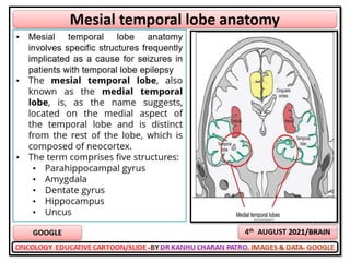 Oncology cartoons 65th volume