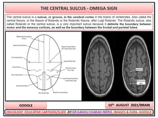 Oncology cartoons 65th volume