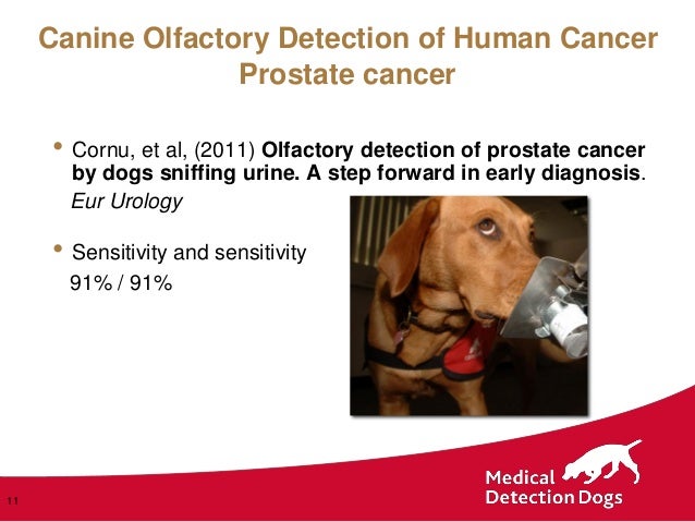 Dr Claire Guest , Medical Detection Dogs
