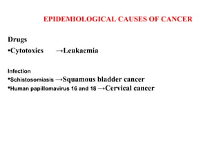 EPIDEMIOLOGICAL CAUSES OF CANCER Drugs -> Leukaemia • Cytotoxics   <ul><li>Infection </li></ul><ul><li>Schistosomiasis   -...