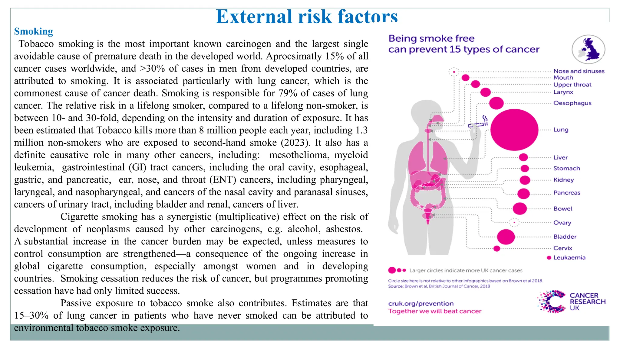 Introduction to oncology lecture 1 (1) (2) (2).ppt
