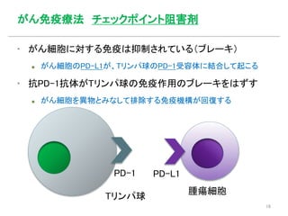 がん免疫療法 チェックポイント阻害剤
▪ がん細胞に対する免疫は抑制されている（ブレーキ）
 がん細胞のPD-L1が、Tリンパ球のPD-1受容体に結合して起こる
▪ 抗PD-1抗体がTリンパ球の免疫作用のブレーキをはずす
 がん細胞を異物とみなして排除する免疫機構が回復する
PD-1 PD-L1
腫瘍細胞
Tリンパ球
16
 