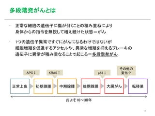 多段階発がんとは
正常上皮 初期腺腫 中期腺腫 後期腺腫 大腸がん 転移巣
およそ10～30年
KRAS↑ p53↓
その他の
変化？APC↓
▪ 正常な細胞の遺伝子に傷が付くことの積み重ねにより
身体からの指令を無視して増え続けた状態＝がん
▪ 1つの遺伝子異常ですぐにがんになるわけではないが
細胞増殖を促進するアクセルや、異常な増殖を抑えるブレーキの
遺伝子に異常が積み重なることで起こる＝多段階発がん
4
 