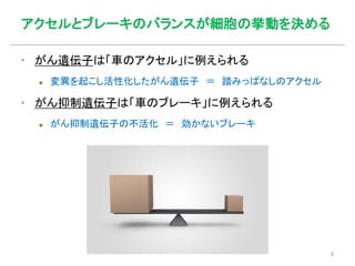 アクセルとブレーキのバランスが細胞の挙動を決める
▪ がん遺伝子は「車のアクセル」に例えられる
 変異を起こし活性化したがん遺伝子 ＝ 踏みっぱなしのアクセル
▪ がん抑制遺伝子は「車のブレーキ」に例えられる
 がん抑制遺伝子の不活化 ＝ 効かないブレーキ
5
 