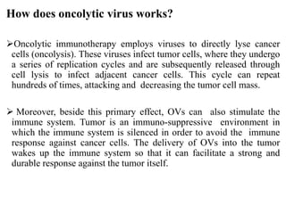 How does oncolytic virus works?
Oncolytic immunotherapy employs viruses to directly lyse cancer
cells (oncolysis). These viruses infect tumor cells, where they undergo
a series of replication cycles and are subsequently released through
cell lysis to infect adjacent cancer cells. This cycle can repeat
hundreds of times, attacking and decreasing the tumor cell mass.
 Moreover, beside this primary effect, OVs can also stimulate the
immune system. Tumor is an immuno-suppressive environment in
which the immune system is silenced in order to avoid the immune
response against cancer cells. The delivery of OVs into the tumor
wakes up the immune system so that it can facilitate a strong and
durable response against the tumor itself.
 
