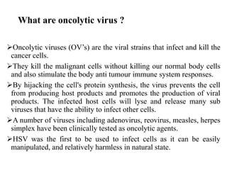 What are oncolytic virus ?
Oncolytic viruses (OV’s) are the viral strains that infect and kill the
cancer cells.
They kill the malignant cells without killing our normal body cells
and also stimulate the body anti tumour immune system responses.
By hijacking the cell's protein synthesis, the virus prevents the cell
from producing host products and promotes the production of viral
products. The infected host cells will lyse and release many sub
viruses that have the ability to infect other cells.
A number of viruses including adenovirus, reovirus, measles, herpes
simplex have been clinically tested as oncolytic agents.
HSV was the first to be used to infect cells as it can be easily
manipulated, and relatively harmless in natural state.
 