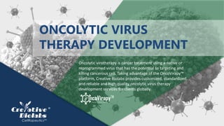 Oncolytic virotherapy is cancer treatment using a native or
reprogrammed virus that has the potential to targeting and
killing cancerous cell. Taking advantage of the OncoVirapy™
platform, Creative Biolabs provides customized, standardized,
and reliable and high-quality oncolytic virus therapy
development services for clients globally.
ONCOLYTIC VIRUS
THERAPY DEVELOPMENT
 
