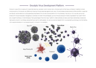 Oncolytic virus development platform