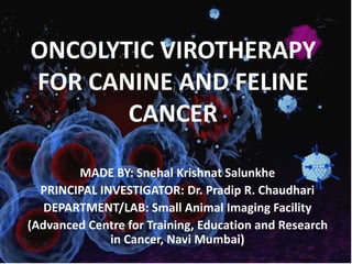 Curated visual reference: Complementary Feline Cancer Holistic Care And Therapy Options Reference: Oncolytic Virotherapy For Canine And Feline Cancer