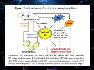 Oncolytic virotherapy for canine and feline cancer | PPTX