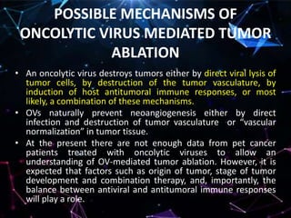 Oncolytic virotherapy for canine and feline cancer | PPTX