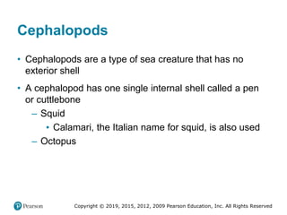 Copyright © 2019, 2015, 2012, 2009 Pearson Education, Inc. All Rights Reserved
Cephalopods
• Cephalopods are a type of sea creature that has no
exterior shell
• A cephalopod has one single internal shell called a pen
or cuttlebone
– Squid
▪ Calamari, the Italian name for squid, is also used
– Octopus
 