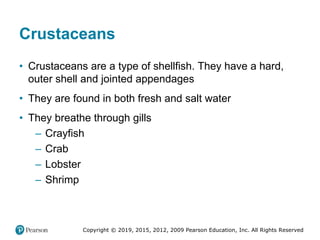 Copyright © 2019, 2015, 2012, 2009 Pearson Education, Inc. All Rights Reserved
Crustaceans
• Crustaceans are a type of shellfish. They have a hard,
outer shell and jointed appendages
• They are found in both fresh and salt water
• They breathe through gills
– Crayfish
– Crab
– Lobster
– Shrimp
 