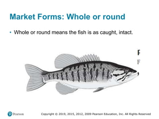 Copyright © 2019, 2015, 2012, 2009 Pearson Education, Inc. All Rights Reserved
Market Forms: Whole or round
• Whole or round means the fish is as caught, intact.
 