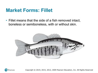 Copyright © 2019, 2015, 2012, 2009 Pearson Education, Inc. All Rights Reserved
Market Forms: Fillet
• Fillet means that the side of a fish removed intact,
boneless or semiboneless, with or without skin.
 