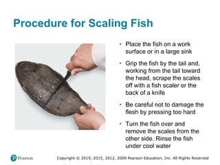 Copyright © 2019, 2015, 2012, 2009 Pearson Education, Inc. All Rights Reserved
Procedure for Scaling Fish
• Place the fish on a work
surface or in a large sink
• Grip the fish by the tail and,
working from the tail toward
the head, scrape the scales
off with a fish scaler or the
back of a knife
• Be careful not to damage the
flesh by pressing too hard
• Turn the fish over and
remove the scales from the
other side. Rinse the fish
under cool water
 