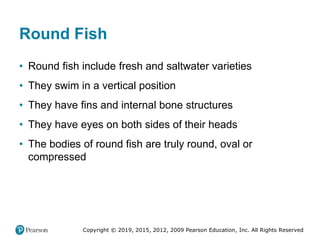 Copyright © 2019, 2015, 2012, 2009 Pearson Education, Inc. All Rights Reserved
Round Fish
• Round fish include fresh and saltwater varieties
• They swim in a vertical position
• They have fins and internal bone structures
• They have eyes on both sides of their heads
• The bodies of round fish are truly round, oval or
compressed
 