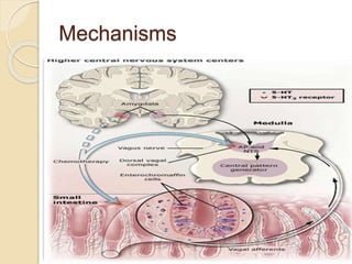 Mechanisms
 
