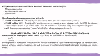 Receptores Tirosina Cinasa se activan de manera constitutiva en tumores por:
Mutaciones puntuales
Reordenamientos genéticos
Amplificación
Ejemplos destacados de oncogenes y su activación:
ERBB1 codifica EGFR: Mutaciones puntuales activan EGFR en adenocarcinomas de pulmón.
ERBB2 codifica HER2: Amplificación genética en carcinomas de mama, sobreexpresión de HER2. En algunos
carcinomas de mama, el gen ERBB2 no se activa por mutaciones puntuales, sino por una amplificación génica.
ALK: Reordenamiento genético (fusión EML4-ALK) en adenocarcinomas de pulmón.
COMPONENTES DISTALES DE LA VÍA DE SEÑALIZACIÓN DEL RECEPTOR TIROSINA CINASA
Vías activadas por los receptores tirosina cinasa: El RAS activa dos principales vías de señalización:
MAPK
PI3K/AKT
Suelen presentar mutaciones con ganancia de función en diferentes tipos de tumores malignos. Es interesante que,
cuando un tumor presenta mutaciones de RAS, casi nunca presenta mutaciones activadoras de los receptores tirosina
cinasa.
 