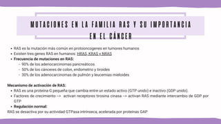 MUTACIONES EN LA FAMILIA RAS Y SU IMPORTANCIA
EN EL CÁNCER
RAS es la mutación más común en protooncogenes en tumores humanos
Existen tres genes RAS en humanos: HRAS, KRAS y NRAS
Frecuencia de mutaciones en RAS:
- 90% de los adenocarcinomas pancreáticos
- 50% de los cánceres de colon, endometrio y tiroides
- 30% de los adenocarcinomas de pulmón y leucemias mieloides
Mecanismo de activación de RAS:
RAS es una proteína G pequeña que cambia entre un estado activo (GTP unido) e inactivo (GDP unido).
Factores de crecimiento --> activan receptores tirosina cinasa --> activan RAS mediante intercambio de GDP por
GTP
Regulación normal:
RAS se desactiva por su actividad GTPasa intrínseca, acelerada por proteínas GAP
 