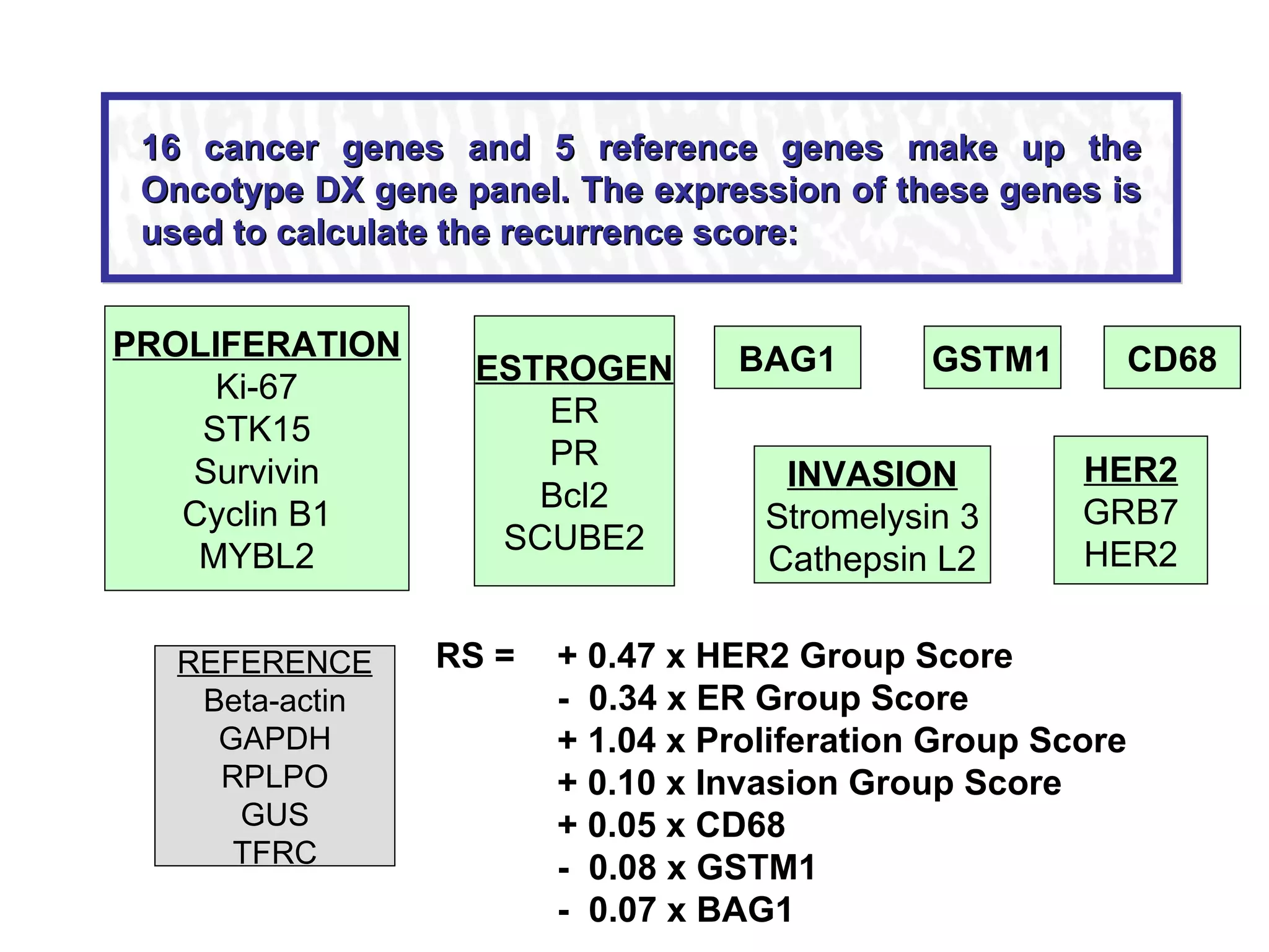 PROLIFERATION Ki-67 STK15 Survivin Cyclin B1 MYBL2 ESTROGEN ER PR Bcl2 SCUBE2 INVASION Stromelysin 3 Cathepsin L2 HER2 GRB7 HER2 BAG1 GSTM1 REFERENCE Beta-actin GAPDH RPLPO GUS TFRC CD68 Paik et al.  N Engl J Med.  2004;351:2817-2826. 16 cancer genes and 5 reference genes make up the Oncotype DX gene panel. The expression of these genes is used to calculate the recurrence score: +   0.47 x HER2 Group Score  -  0.34 x ER Group Score  + 1.04 x Proliferation Group Score + 0.10 x Invasion Group Score  + 0.05 x CD68 -  0.08 x GSTM1 -  0.07 x BAG1 RS   = 