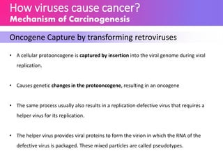 How viruses cause cancer?
Mechanism of Carcinogenesis
Oncogene Capture by transforming retroviruses
• A cellular protooncogene is captured by insertion into the viral genome during viral
replication.
• Causes genetic changes in the protooncogene, resulting in an oncogene
• The same process usually also results in a replication-defective virus that requires a
helper virus for its replication.
• The helper virus provides viral proteins to form the virion in which the RNA of the
defective virus is packaged. These mixed particles are called pseudotypes.
 