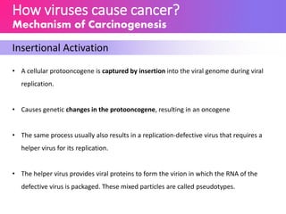 How viruses cause cancer?
Mechanism of Carcinogenesis
Insertional Activation
• A cellular protooncogene is captured by insertion into the viral genome during viral
replication.
• Causes genetic changes in the protooncogene, resulting in an oncogene
• The same process usually also results in a replication-defective virus that requires a
helper virus for its replication.
• The helper virus provides viral proteins to form the virion in which the RNA of the
defective virus is packaged. These mixed particles are called pseudotypes.
 