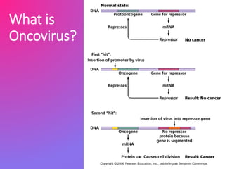 What is
Oncovirus?
 