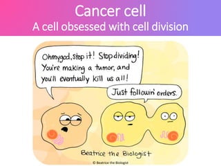 Cancer cell
A cell obsessed with cell division
© Beatrice the Biologist
 