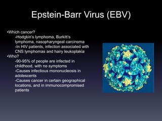 Epstein-Barr Virus (EBV)
•Which cancer?
-Hodgkin’s lymphoma, Burkitt’s
lymphoma, nasopharyngeal carcinoma
-In HIV patients, infection associated with
CNS lymphomas and hairy leukoplakia
•Who?
-90-95% of people are infected in
childhood, with no symptoms
-Causes infectious mononucleosis in
adolescents
-Causes cancer in certain geographical
locations, and in immunocompromised
patients
 