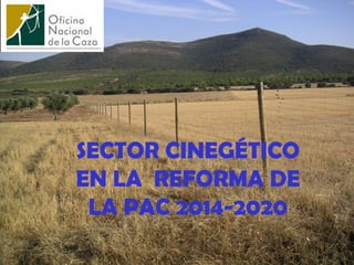 SECTOR CINEGÉTICO
EN LA REFORMA DE
LA PAC 2014-2020

 