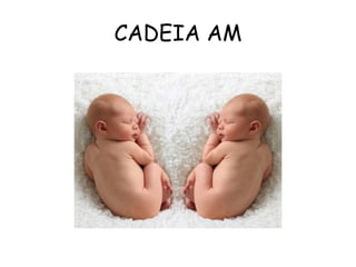 CADEIA AM 
 