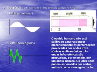  Nosso sistema auditivo Cóclea “desenrolada”
