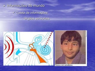 Fontes de informação Informações do mundo