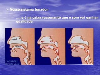  Comprimento de onda ( l )ComprimentoT1AAmplitudeT20T0T4- AT3Comprimento